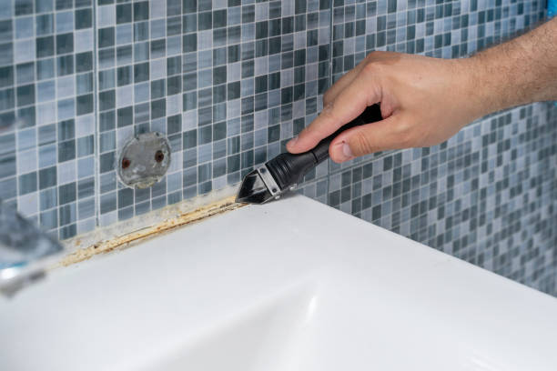 Best Emergency Mold Removal  in Black Rock, NM