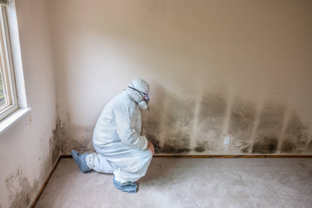 Water Damage Restoration in Black Rock, NM